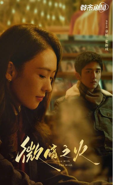 [夸克网盘]国内电视剧 　剧情 / 悬疑《微暗之火》（2024）主演: 童瑶 / 张新成 / 叶祖新 / 王子璇 / 赵浩闳 　豆瓣评分7.1-有点盘资源网