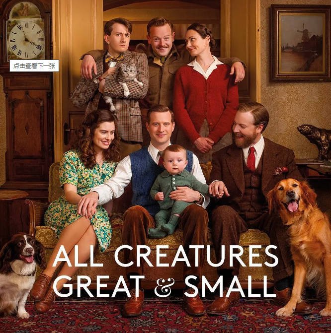 [夸克网盘]英国电视剧 　剧情 / 喜剧《万物生灵》（共5季）+万物生灵：2023圣诞特别集　豆瓣评分9.4-有点盘资源网