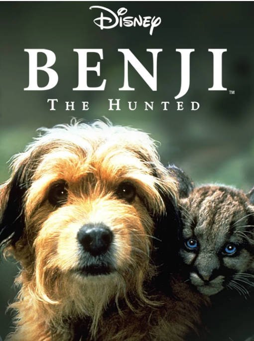 [夸克网盘]美国电影 剧情 / 冒险《丛林赤子心》 （1987）主演: 本吉 / 弗兰克·因 / 雷德·斯蒂加尔 / 乔·坎普 / 盖·霍维斯　豆瓣评分9.1-有点盘资源网