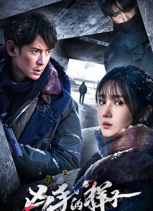 [夸克网盘]国内电视剧     悬疑《凶手的样子》(2024)　主演: 韩栋 / 陈小纭 / 章涛 / 王大奇 / 李智 -有点盘资源网