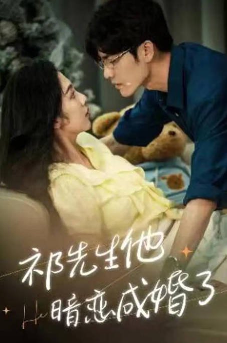 [夸克网盘]国内短剧 剧情/短片《祁先生他暗恋成婚了 》（2024）主演: 王奕然 / 朱茉颜-有点盘资源网