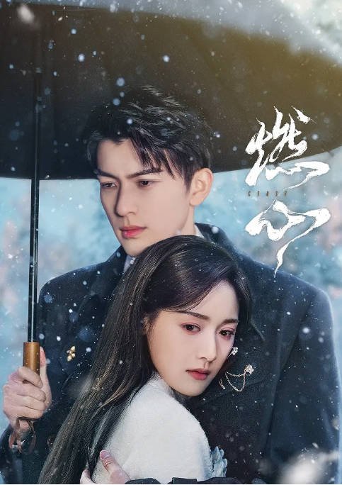 [夸克网盘]国内短剧 剧情 / 爱情 / 短片《燃心》（2024）主演: 赵英博 / 凌美仕 / 高天妮 / 李枫 -有点盘资源网