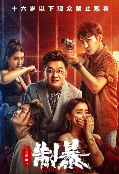 [夸克网盘]国内电影 动作 / 犯罪 《制暴》(2024) 主演: 蒋璐霞 / 包贝尔 / 谢苗 / 赵夕汐-有点盘资源网