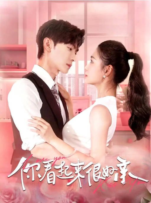 [夸克网盘]国内短剧 剧情 / 短片 《你看起来很好亲》（2024）主演: 王译磊-有点盘资源网