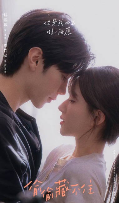 [夸克网盘]国内连续剧 剧情 / 爱情《偷偷藏不住》（2023年） 主演: 赵露思 / 陈哲远 / 马伯骞 / 曾黎 / 邱心志 　豆瓣评分6.7-有点盘资源网