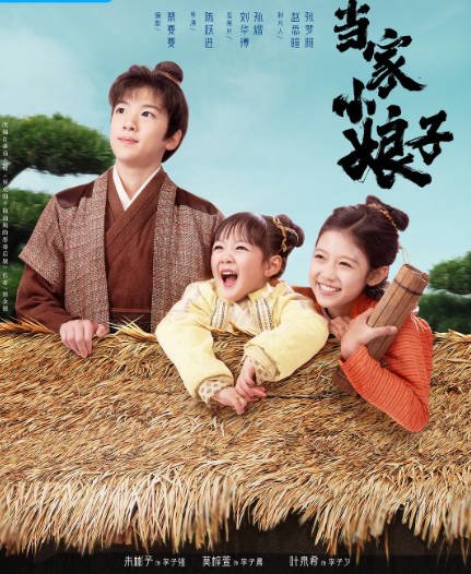 [夸克网盘]国内短剧  剧情 / 喜剧 / 短片 / 古装《当家小娘子》（2023） 主演: 金美辰 / 陈俊宇 / 朱彬予 / 莫梓萱 / 叶泉希　豆瓣评分6.5-有点盘资源网