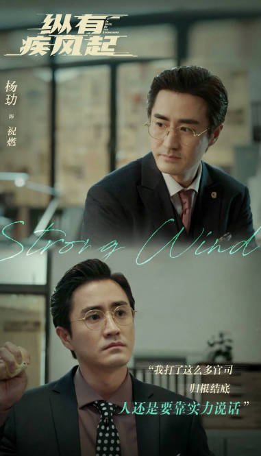 【夸克网盘】国内电视剧 剧情 / 家庭《纵有疾风起》（2023） 主演: 靳东 / 宋佳 / 田雨 / 杨玏 / 孙淳 　豆瓣评分5.8-有点盘资源网