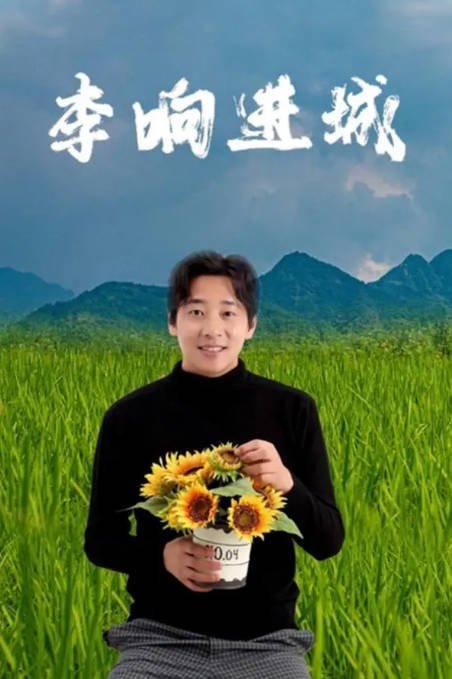 [夸克网盘]国内电影 喜剧《李响进城 》（2024）主演: 李立 / 韩琳-有点盘资源网