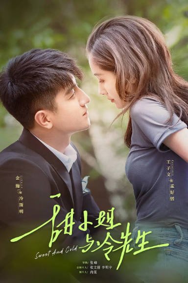[夸克网盘]国内电视剧  剧情 / 爱情《甜小姐与冷先生》（2023）主演: 王子文 / 金瀚 / 徐洁儿 / 刘潮 / 郑妙 -有点盘资源网