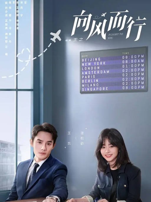 【夸克网盘】国内电视剧 剧情《向风而行》（2022）主演: 王凯 / 谭松韵 / 刘畅 / 晏紫东 / 吉舒亦  豆瓣6.9-有点盘资源网