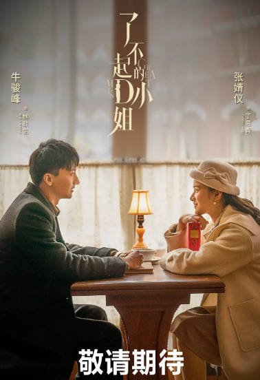 [夸克网盘]国内电视剧    剧情 / 悬疑《了不起的D小姐》（2022）主演: 张婧仪 / 牛骏峰 / 曾黎 / 郎月婷 / 郝平  豆瓣评分6.0-有点盘资源网