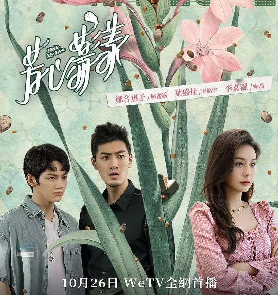 [夸克网盘]国内电视剧    剧情 / 爱情《芳心荡漾》（2022）主演: 秦岚 / 蓝盈莹 / 郑合惠子 / 王子异 / 王冠逸 　豆瓣评分5.7-有点盘资源网