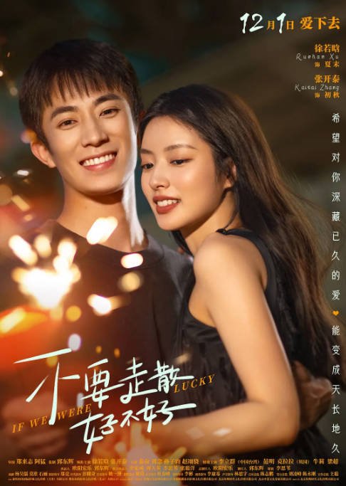 [夸克网盘]国内电影   爱情《不要走散好不好》（2023）主演: 徐若晗 / 张开泰 / 秦奋 / 刘念 / 李立群 -有点盘资源网