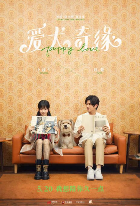 [夸克网盘]国内电影   喜剧 / 爱情《爱犬奇缘》（2023）主演: 冯绍峰 / 古力娜扎 / 李嘉琦 / 卜冠今 / 刘以豪 -有点盘资源网