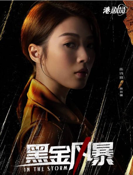 [夸克网盘]国内电视剧   动作 / 犯罪《黑金风暴》（2022）主演: 林峯 / 周秀娜 / 黄浩然 / 梁竞徽 / 连诗雅 　豆瓣评分5.3-有点盘资源网