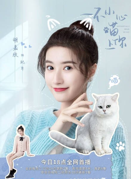 [夸克网盘]国内电视剧　喜剧 / 爱情《一不小心喵上你》（2022）主演: 邢昭林 / 胡冰卿 / 李昀锐 / 胡嘉欣 / 王浩歌 -有点盘资源网