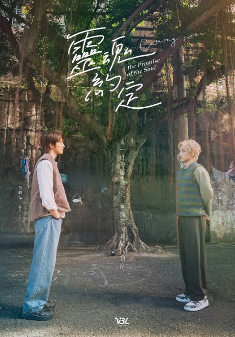 [夸克网盘]台湾电视剧　剧情 / 同性 / 奇幻《灵魂约定》（2025）主演: 王智骞 / 范麒智 / 李定 / 洪暐 / 廖奕琁 　豆瓣评分6.7-有点盘资源网