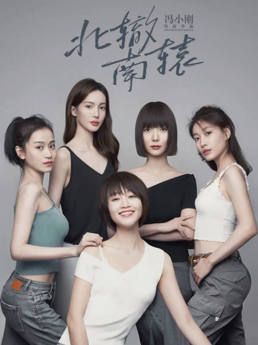 [夸克网盘]国内电视剧   剧情《北辙南辕》（2021）主演: 蓝盈莹 / 金晨 / 啜妮 / 隋源 / 王珞丹 豆瓣评分5.0-有点盘资源网