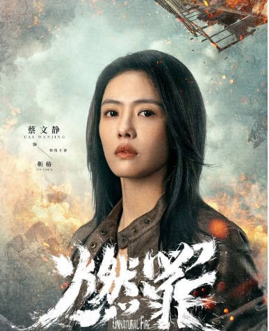 【夸克网盘】国内电视剧　剧情 / 犯罪《燃罪》 (2025) 主演: 张云龙 / 蔡文静 / 代旭 / 涂松岩 / 王龙正 　豆瓣评分6.6-有点盘资源网