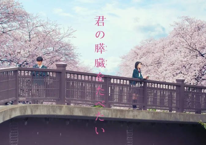 [夸克网盘]日本电影　剧情 / 爱情《念念手纪》（2017）主演: 滨边美波 / 北村匠海 / 北川景子 / 小栗旬 / 大友花恋 　豆瓣6.6-有点盘资源网